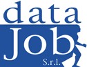 Data Job